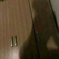 Հավանիք ?