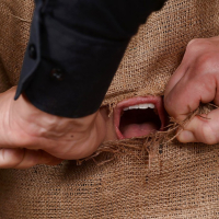 Asian BDSM lady Tigerr Benson is put inside a sack and deepthroated