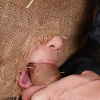 Asian BDSM lady Tigerr Benson is put inside a sack and deepthroated