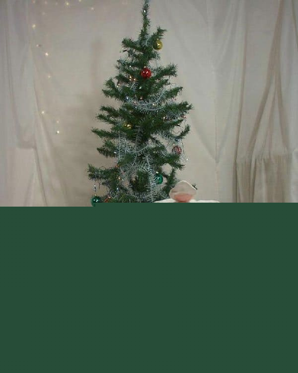 Tonatsari tak merk napastaky mets gazar e mttsnum ir napastaki antsqi mej - Photo #1871126