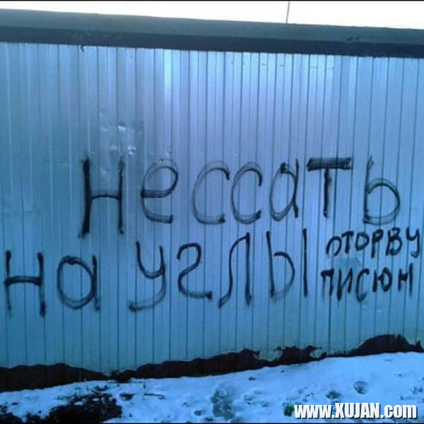 Pshaqaghvogh tiknants andznakan lusankarner - Photo #1872613