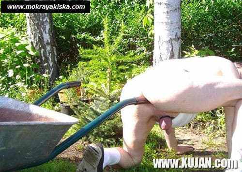 Hiasqanch porno lusankarner - Photo #1903150
