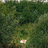 Kanayq vayri loghapum