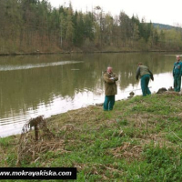 Poghotsum merk shikahery viravorum e antsordnerin