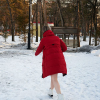 Rus aghjiky merk chmushknerov sahum e aygum
