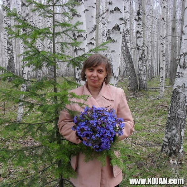 Hasun usutsichy kataghum e antarum - Photo #1963034