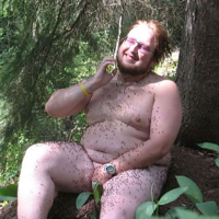 Ansovor zvarchali porno lusankarneri yntrani