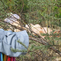 Novosibirski nudistakan loghapy lrtesel e