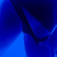 Seqsual norek