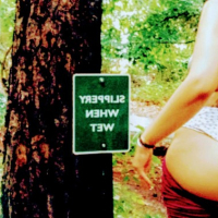 Havatarim ser