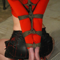 Blowjob star Trinity Post gets rope bound and analy fucked