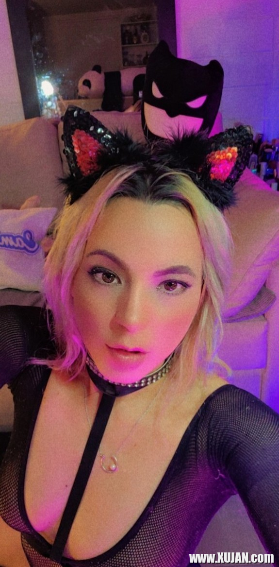 Kat statsa - Photo #1985097