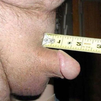 Ansovor ev zvarchali porno nkarner