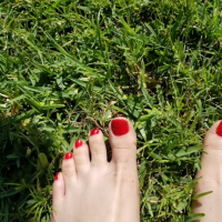 Annies arkhivner