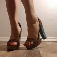 Annies arkhivner