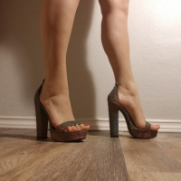 Annies arkhivner