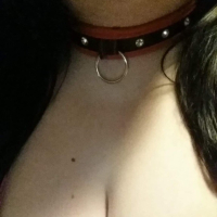 Titty Teasers