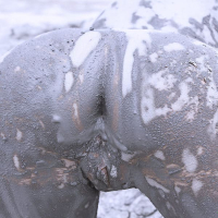 Eritasard nudist buzhakan tsekhi mej