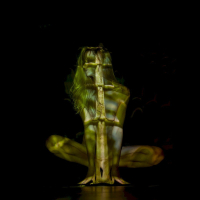 Beautiful chicks Nika puts up a great performance during a light show