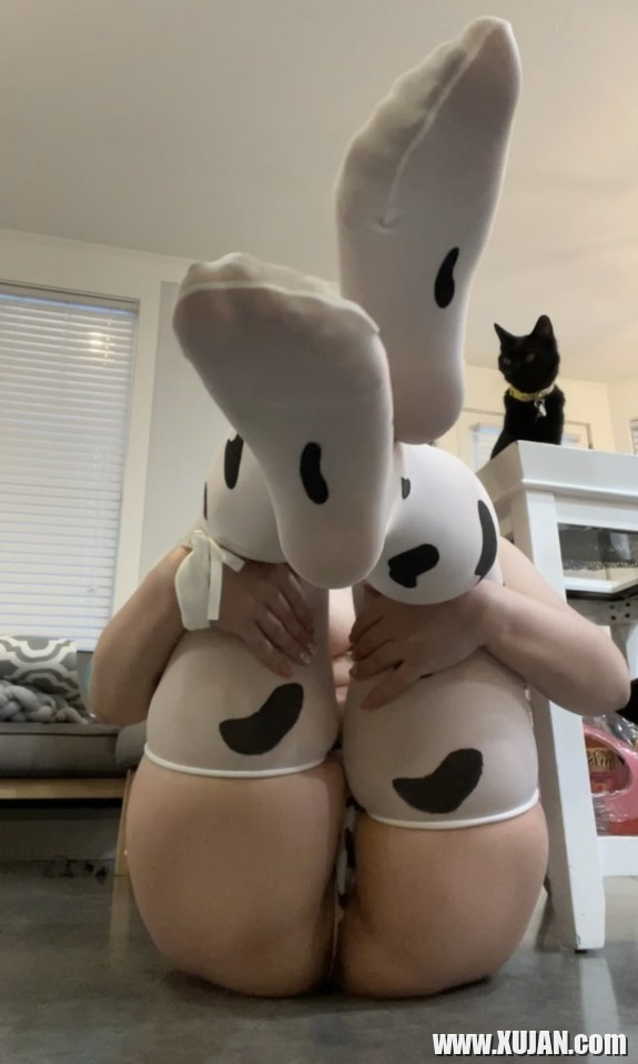 Moo Cow - Photo #2067741