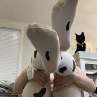 Moo Cow