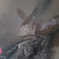 Ebony Squirter