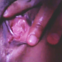 tmblik puc69