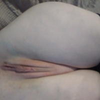 Lotusx merk