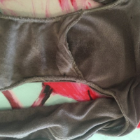 Cum Undies