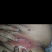 Parzapes menq