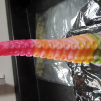 Shoshapuk Dildo Ikan Bad Dragon its