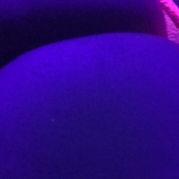Neonayin vardaguyn nerqnazgestov im jahel hetuyqn u pucy