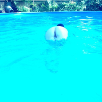 WetShots