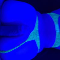 SEQSI NEON TIMES
