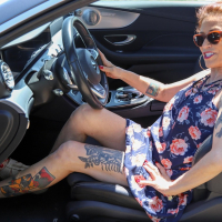 Slutty mature Melissa Johnson gets plundered by shady stranger outside