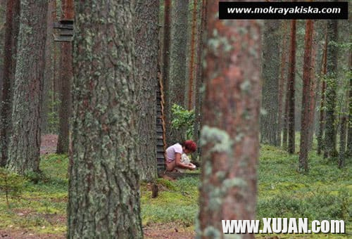 Hasun tiknayq brnel en drsum mizelis - Photo #2206110