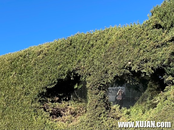 Aurarsquos i hanrayin lusardzakogh arkatsnery - Photo #2218576