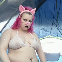 PiggyHocow derahas