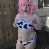 PiggyHocow derahas