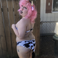 PiggyHocow derahas