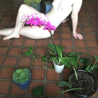 Busabanutyun