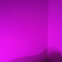 FOTOShARQ mas 1