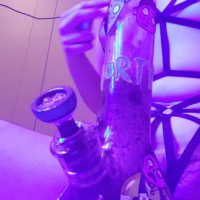 Seqsual Stoner striptiz ev tskhogh bongner