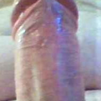 Tarber Cock Pix
