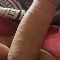 Tarber Cock Pix