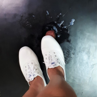 Sneakerjob Cumshots