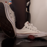 Sneakerjob Cumshots