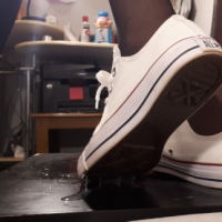 Sneakerjob Cumshots
