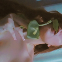 Snap XRose7