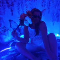 Brittany Butterfly Spring y odum e